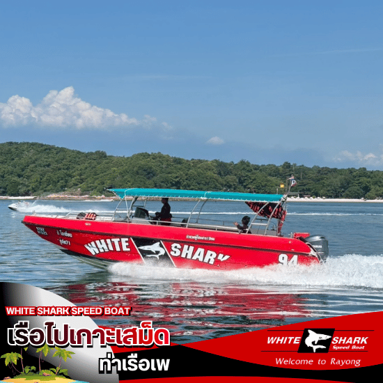 Speedboat Koh Samet price - เรือไปเกาะเสม็ด ท่าเรือเพ - White Shark